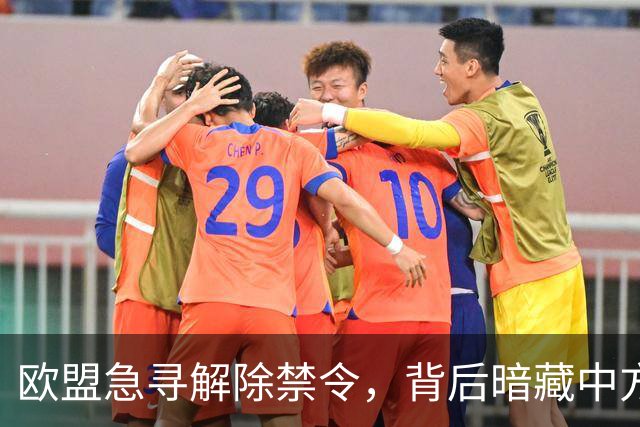 欧盟急寻解除禁令，背后暗藏中方战略博弈